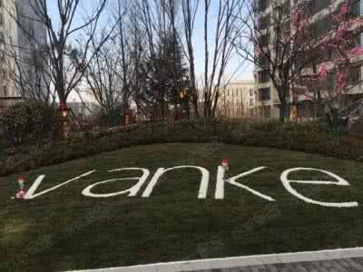 在线炒股配资门户网VIP：社群价值与服务内容揭秘，付费社群真香警告！